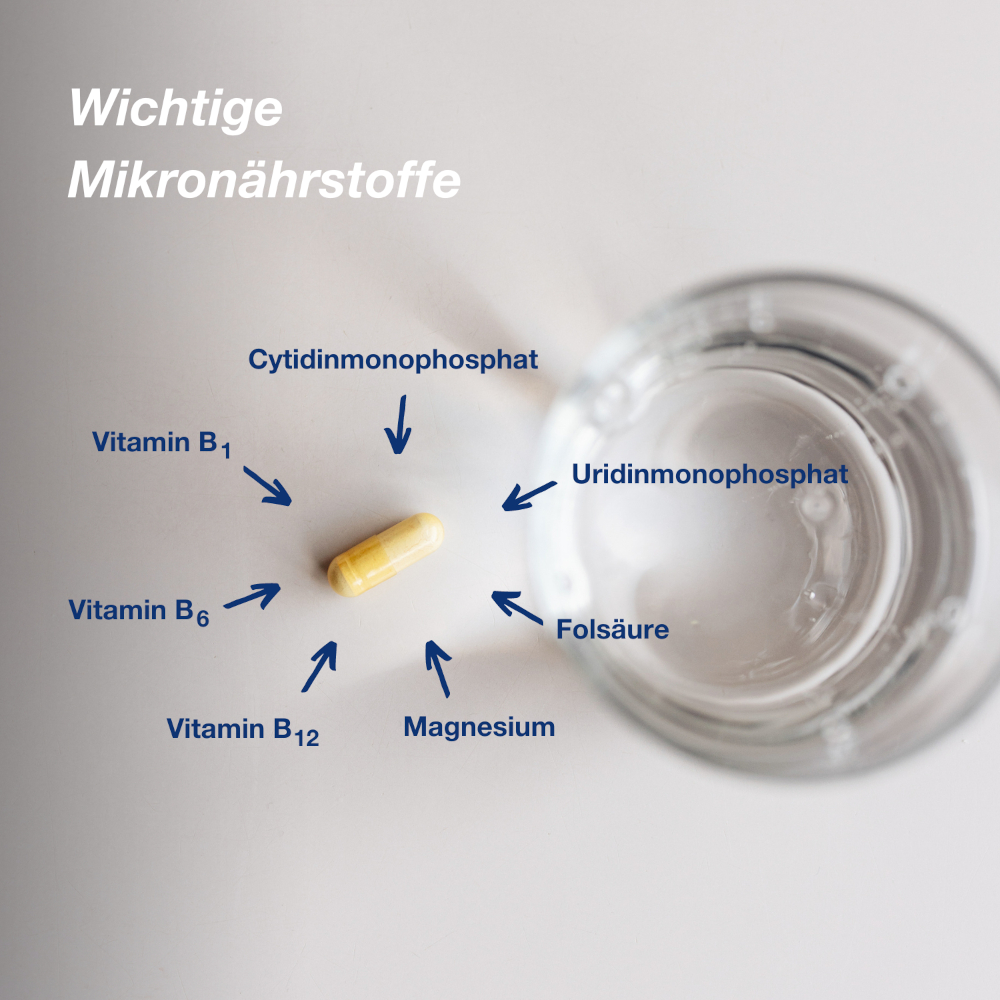 orthomol neuro – mit Thiamin (Vitamin B1), Vitamin B6, B12 und Magnesium – Kapseln