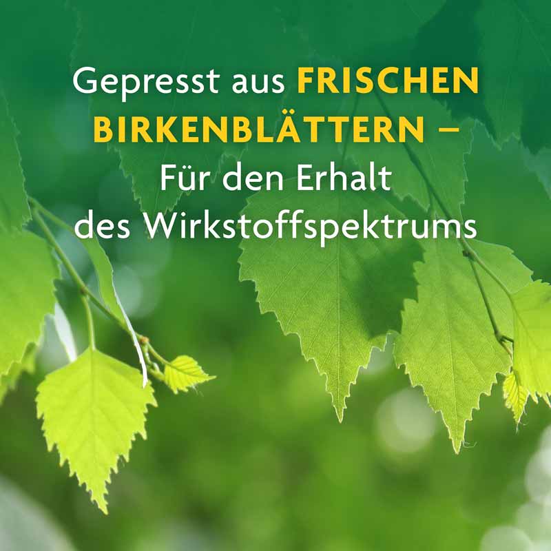 Schoenenberger Birke naturreiner Heilpflanzensaft 3X200 ml Saft