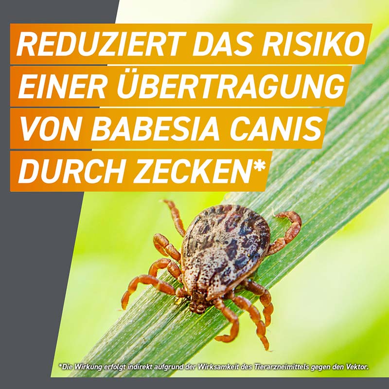 FRONTPRO - gegen Zecken und Flöhe für Hunde (>25-50kg) 3 St Kautabletten