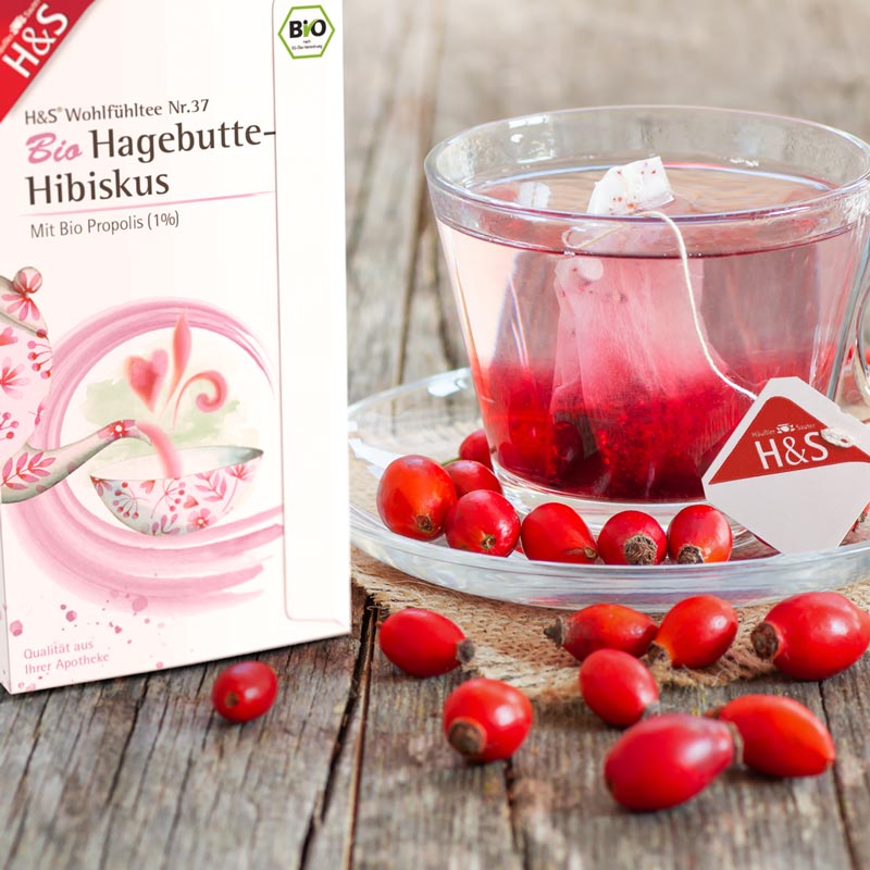 H&S Wohlfühltee Hagebutte-Hibiskus 20X3.0 g Filterbeutel