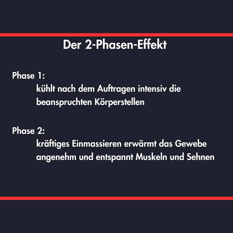 ENSBONA Pferdesalbe mit Rosmarin, Arnika, Rosskastanie & Kampfer 500 ml Salbe