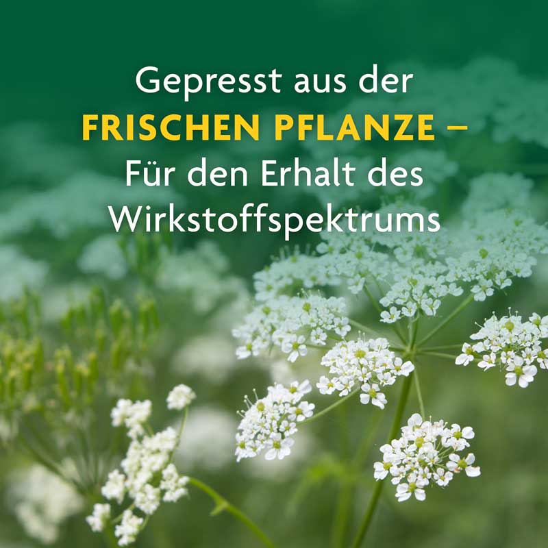 Schoenenberger Naturreiner Heilpflanzensaft Schafgarbe 200 ml Saft