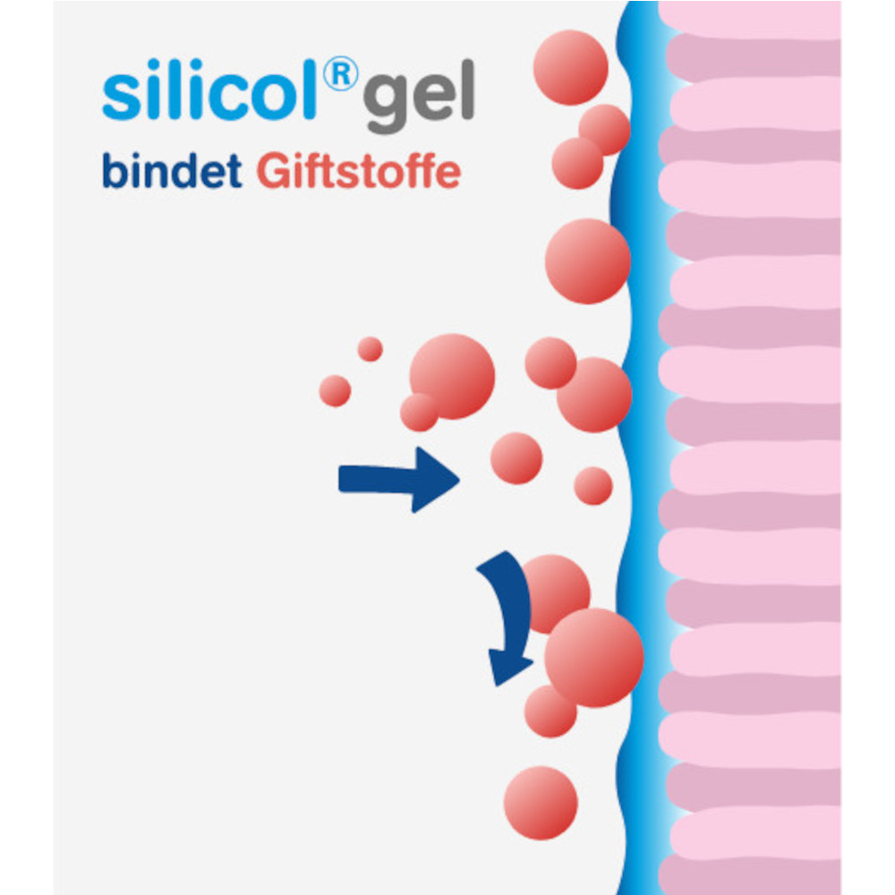 SILICOL Gel gegen Magen-Darm-Erkrankungen 500 ml Gel