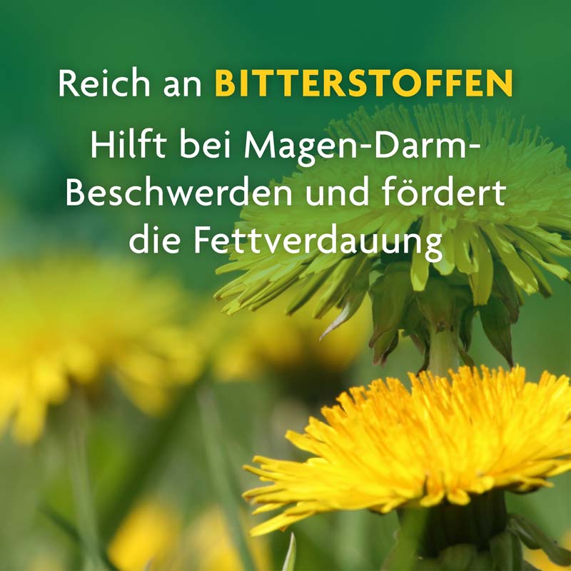 Schoenenberger Naturreiner Heilpflanzensaft Löwenzahn 200 ml Saft