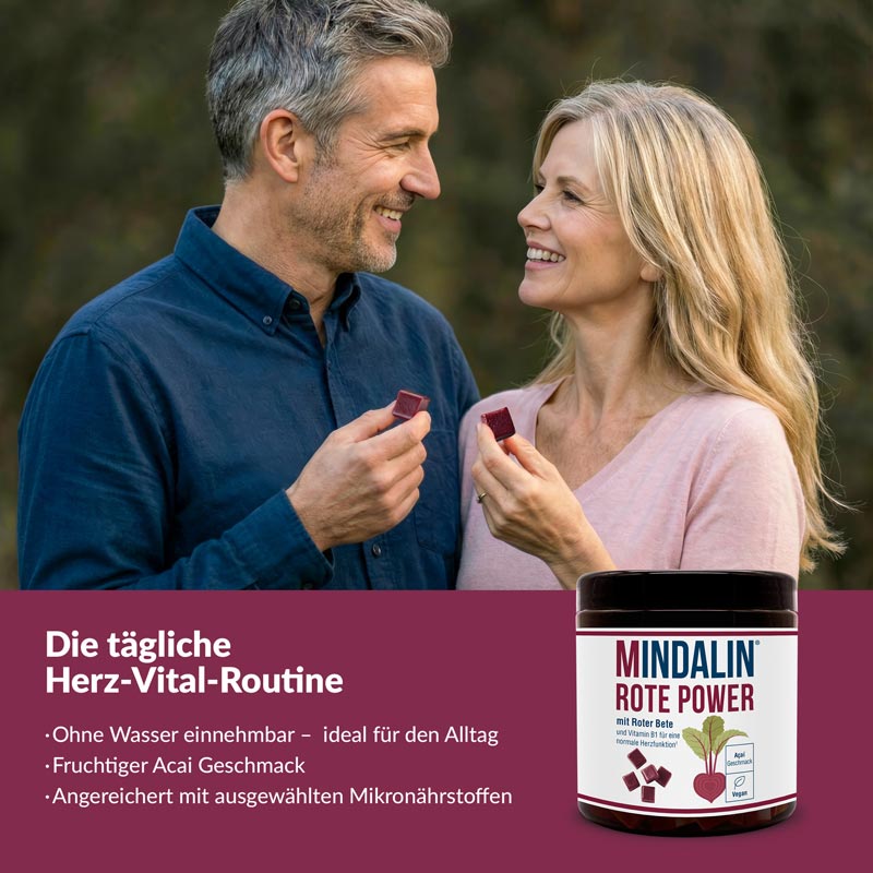 MINDALIN ROTE POWER 120 St Kautabletten