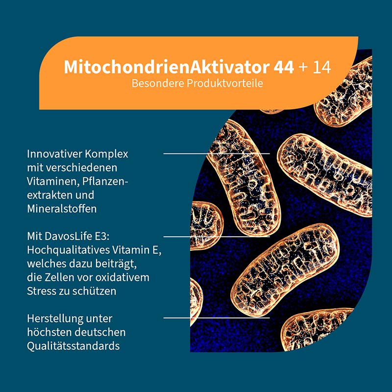 NatuGena Mitochondrien Aktivator 44 + 14 240 St Kapseln