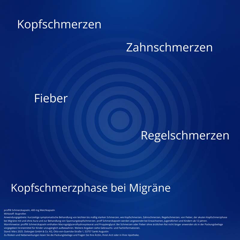 Proff Schmerzkapseln 400mg 10 St Kapseln