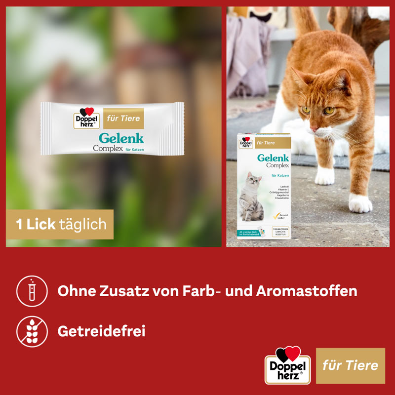Doppelherz Gelenk Complex für Katzen 25 St Paste